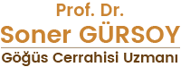 Prof. Dr. Soner GÜRSOY